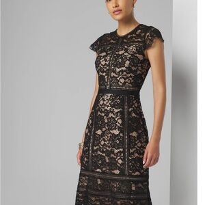 White House Black Market Black and Cream Lace Midi Dress